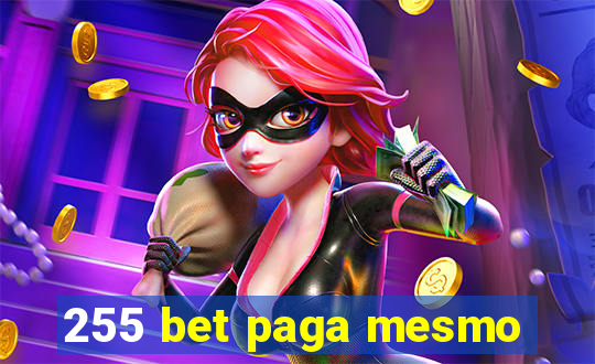 255 bet paga mesmo